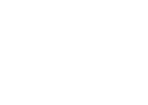 FESTIVAL3
